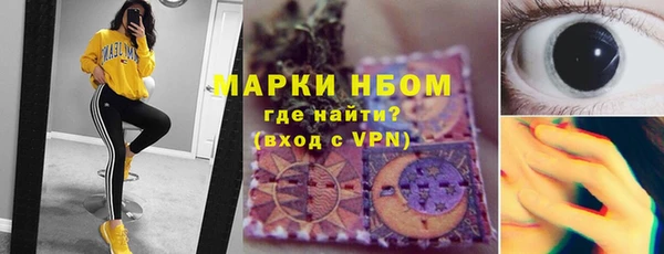 гашик Алексин