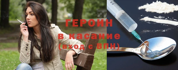 гашик Алексин