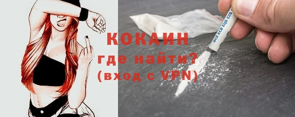 PSILOCYBIN Аркадак