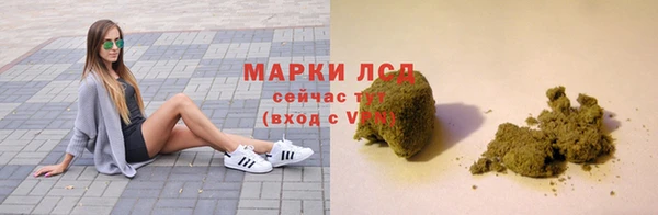 гашик Алексин