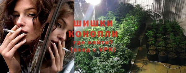 PSILOCYBIN Аркадак