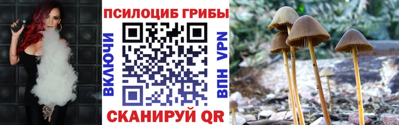 Псилоцибиновые грибы мухоморы мега онион Макарьев купить наркотики цена